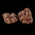 Bourbon Barrel Foods Salt & Pepper Peanut Cluster Chocolate